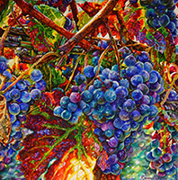  Harvest Mosaic